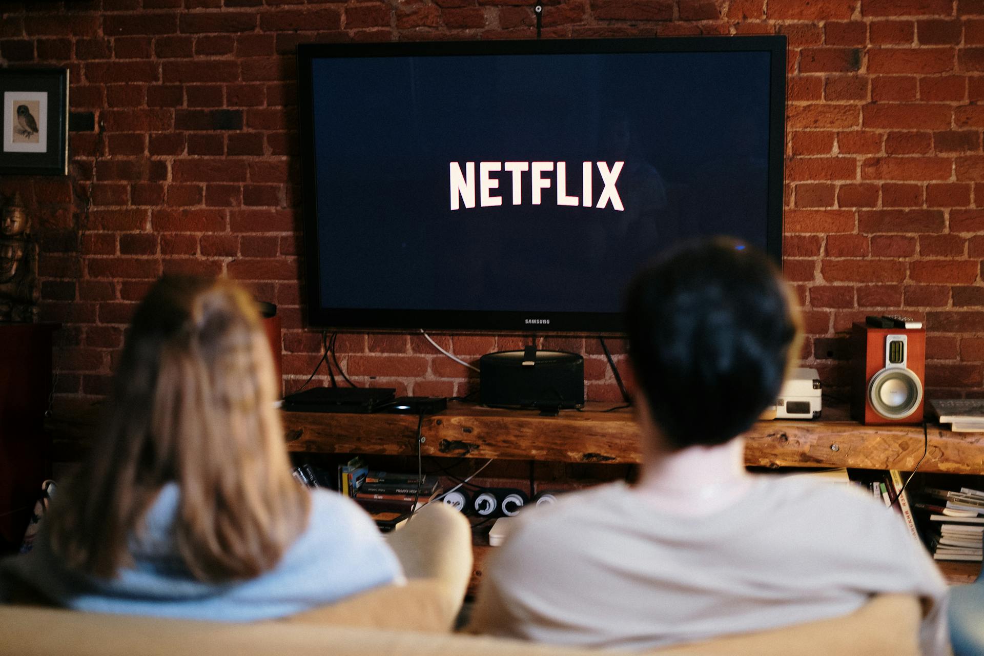 Netflix Decline? Subscriber Woes